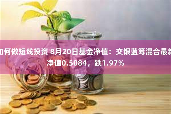 如何做短线投资 8月20日基金净值：交银蓝筹混合最新净值0.5084，跌1.97%