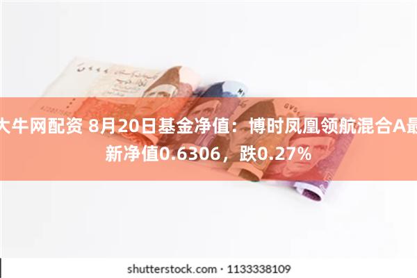 大牛网配资 8月20日基金净值：博时凤凰领航混合A最新净值0.6306，跌0.27%