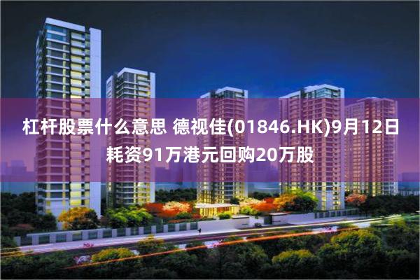 杠杆股票什么意思 德视佳(01846.HK)9月12日耗资91万港元回购20万股