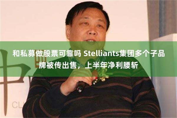 和私募做股票可靠吗 Stelliants集团多个子品牌被传出售，上半年净利腰斩