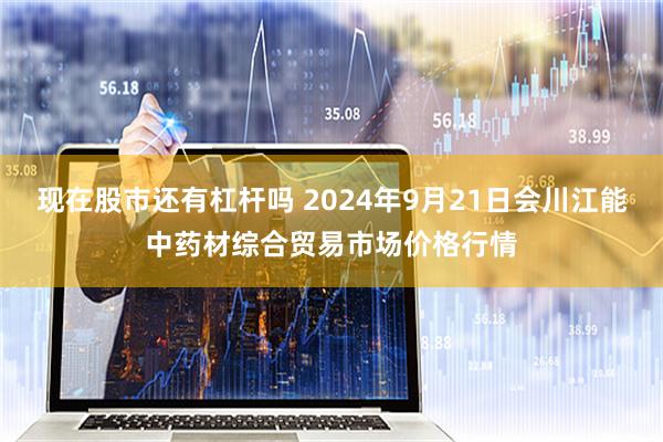 现在股市还有杠杆吗 2024年9月21日会川江能中药材综合贸易市场价格行情