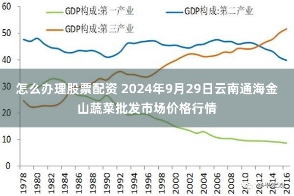 怎么办理股票配资 2024年9月29日云南通海金山蔬菜批发市场价格行情