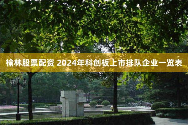 榆林股票配资 2024年科创板上市排队企业一览表