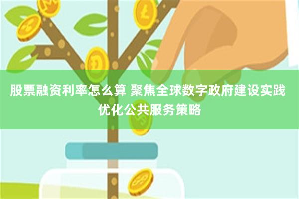 股票融资利率怎么算 聚焦全球数字政府建设实践 优化公共服务策略