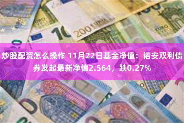 炒股配资怎么操作 11月22日基金净值：诺安双利债券发起最新净值2.564，跌0.27%