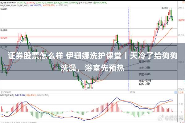 证券股票怎么样 伊珊娜洗护课堂丨天冷了给狗狗洗澡，浴室先预热