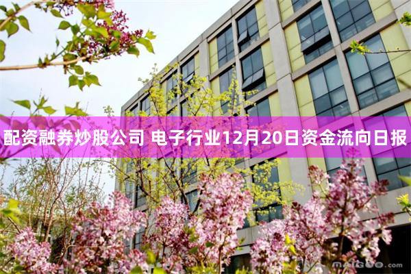 配资融券炒股公司 电子行业12月20日资金流向日报