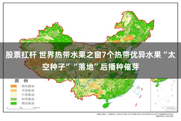 股票扛杆 世界热带水果之窗7个热带优异水果“太空种子”“落地”后播种催芽