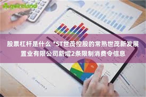 股票杠杆是什么 *ST世茂控股的常熟世茂新发展置业有限公司新增2条限制消费令信息