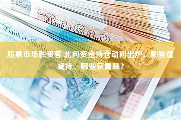 股票市场融资客 北向资金持仓动向出炉，哪些遭减持、哪些获青睐？