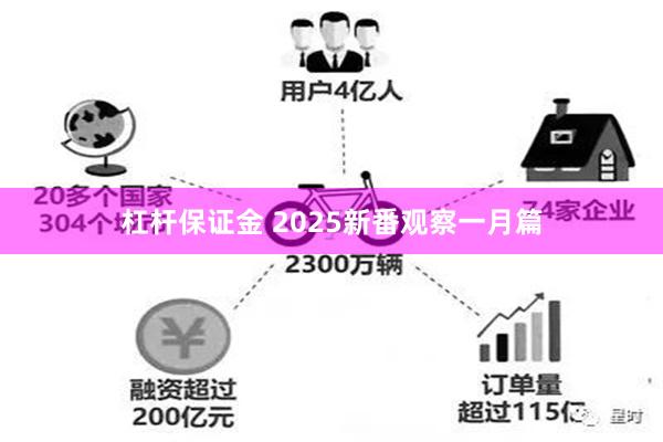 杠杆保证金 2025新番观察一月篇