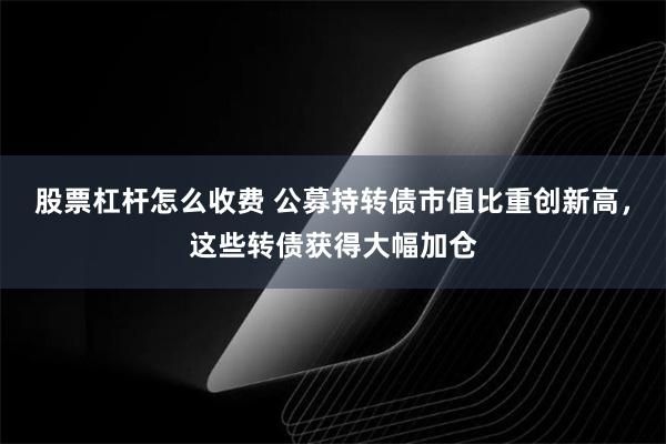 股票杠杆怎么收费 公募持转债市值比重创新高，这些转债获得大幅加仓