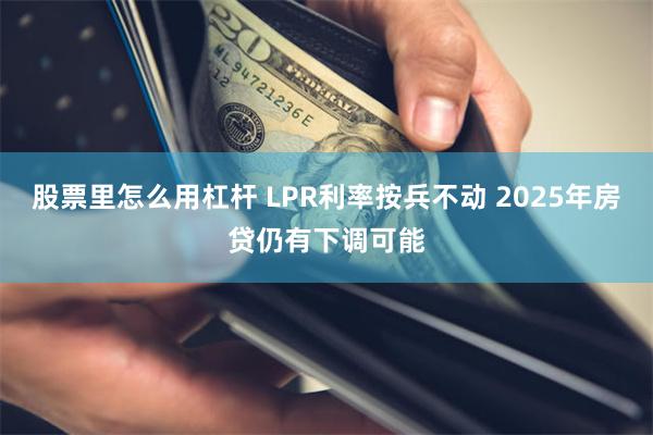 股票里怎么用杠杆 LPR利率按兵不动 2025年房贷仍有下调可能