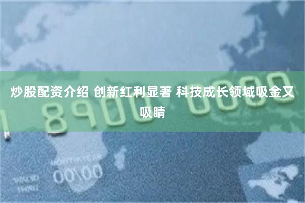 炒股配资介绍 创新红利显著 科技成长领域吸金又吸睛